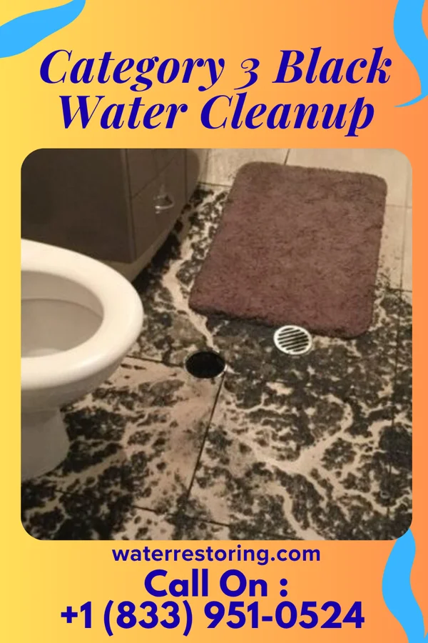 Category 3 Black Water Cleanup in South Brooksville, FL