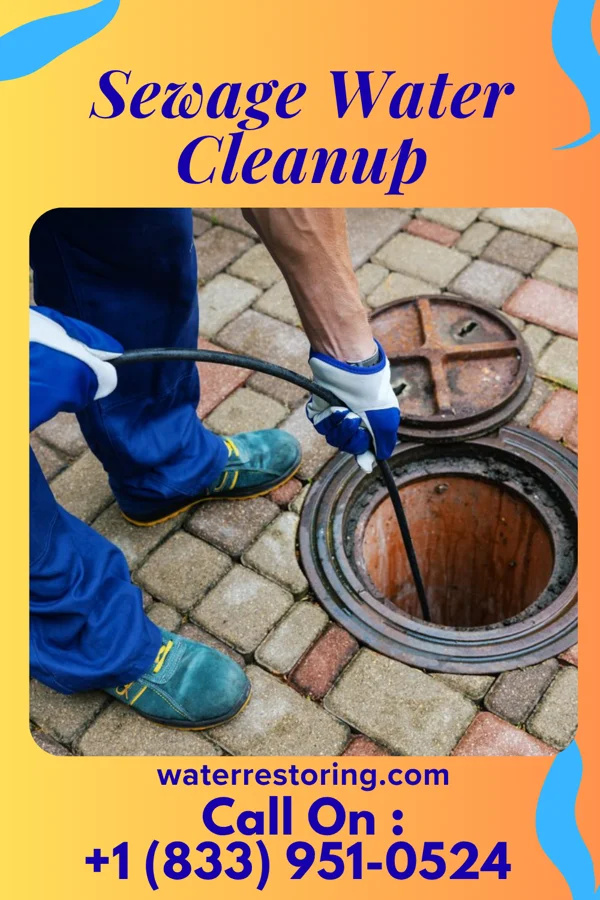 Sewage Water Cleanup in South Brooksville, FL